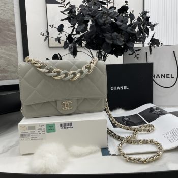 2022 New Style Chanel Wallet On Chain Lambskin Plexi Gold-Tone Metal Gray AP2377 For Girls Online